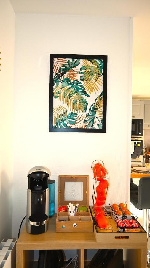Class&Tropical Appt 10Mn Aeroport Roissy Cdg Apartment Villeneuve-sous-Dammartin ภายนอก รูปภาพ